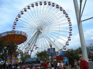 331_592169340822_7023_n