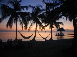 1d96e4e582116d45e5edd9bc4174ddeb