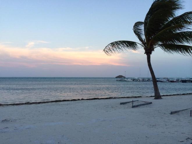 1966939_10102017624870472_621154397439619131_n