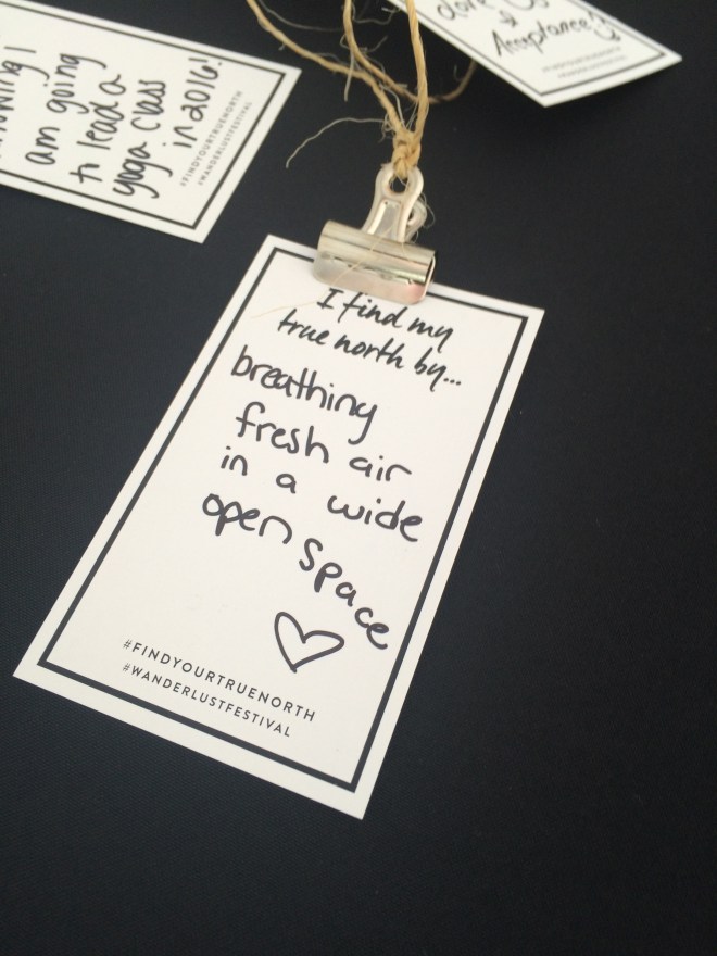 18533472374_fe5c5af11d_o